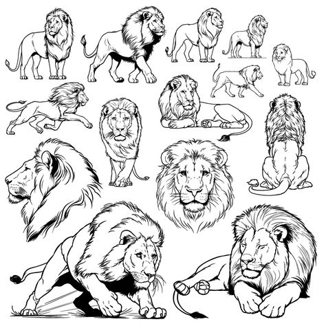 When it comes to learning how to draw wild animals, these sketching tutorials can be a great source of practice for anyone. Walking Lion Tattoo, Lion Hunting, How To Draw Realistic, Easy Drawing Guides, Lion Sketch, 1950s Pinup, Draw Realistic, Lion Drawing, Architecture Drawing Plan