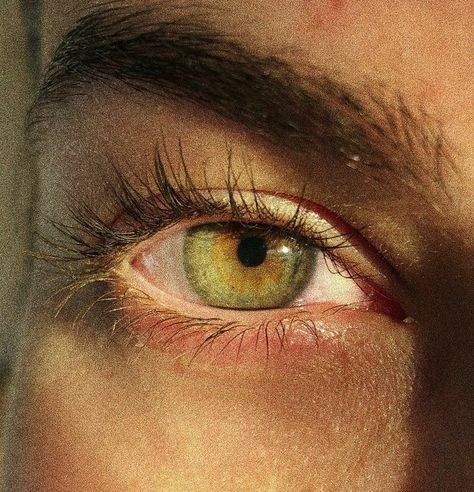 Eye Colours Aesthetic, Green Eye Photography, Aesthetic Eye Colors, Pretty Green Eyes Aesthetic, Hazel Yellow Eyes, Green Eye Reference, Yellow Hazel Eyes, Green Eyes With Gold Flecks, Green Gold Eyes