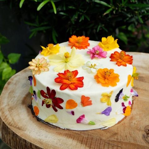 Carrot Pineapple Cake, Carrot Cake With Pineapple, Edible Flowers Cake, Pineapple Cake, Edible Flowers, Carrot Cake, Food To Make, Carrots, Cake Decorating