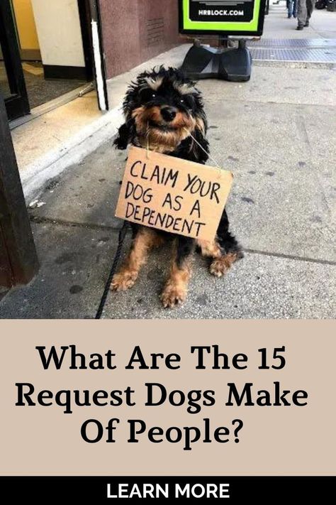 Our dogs now and then realize how to entertain themselves and lift their voice. This no longer only makes their lifestyles less boring but additionally fills human beings around them with happy vibes. The lovely dog in this post also behaves in the same way. He displays amusing protest behaviors on the ups and downs of his dog’s life in public. And those successfully keep onlookers’ eyes closed by making them smile and chuckle. They even gained popularity on social media. What a sweetie! Protest Signs, Happy Vibes, Now And Then, Ups And Downs, Cute Dogs, Ups, Signs, Dogs, Funny