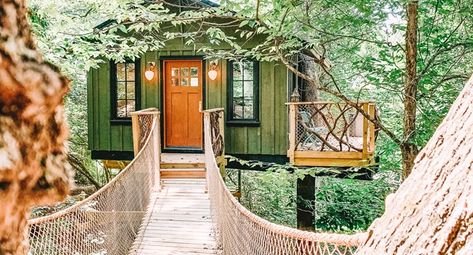 The Nest: Treehouse Glamping with Running Hot Water in Asheville Nest Tree House, Tree House Bed, Platform Deck, Nature Projects, Glamping Site, Romantic Retreat, House Deck, Sleeping Under The Stars, Sleeping In Bed