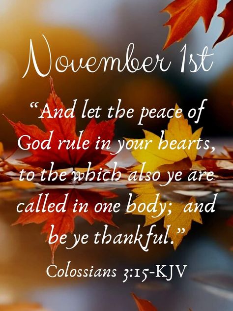 Colossians 3 15, November Month, Peace Love Happiness, Peace Of God, Create Ads, Memory Verse, November 3, November 1, Daily Bible Verse