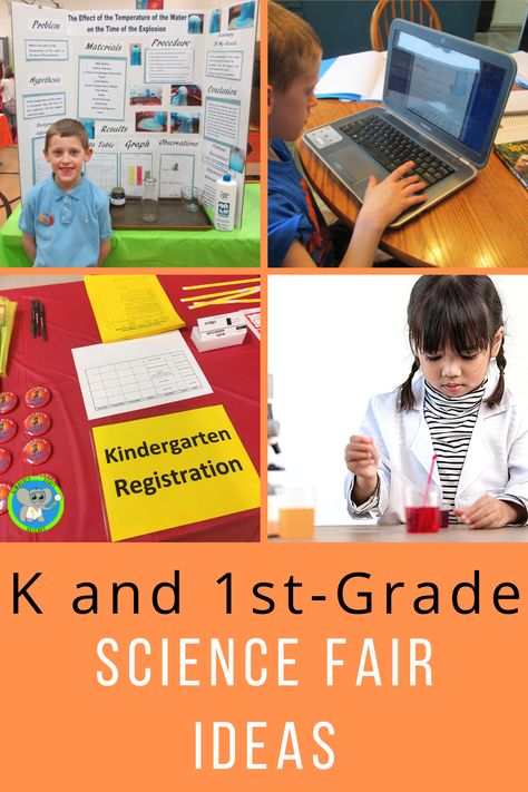 Help your student or child with their science fair project. These tips will assist in coming up with experiments for kindergarten and first graders. Our tips and ideas will make the science fair a fun experience. Experiments For Kindergarten, 1st Grade Science Fair, Kindergarten Science Fair Projects, Kindergarten Registration, Science Fair Experiments, Kindergarten Science Activities, Cool Science Fair Projects, Ngss Science, Science Fair Project