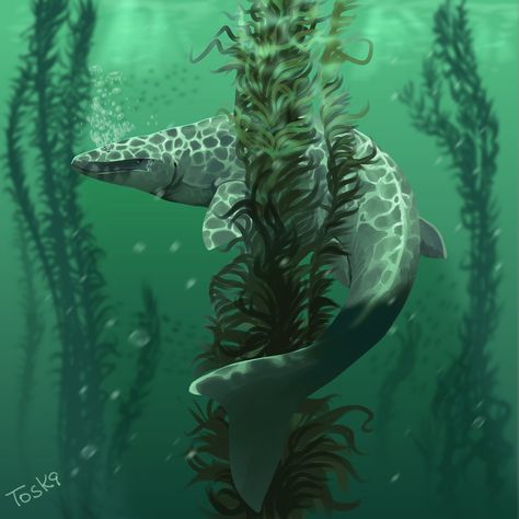 Prehistoric Marine Life, Prehistoric Sea Creatures, Sea Dinosaurs, Marine Reptiles, Prehistoric Animals Dinosaurs, Marine Life Art, Prehistoric Wildlife, Dinosaur Illustration, Prehistoric World