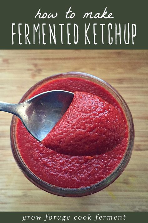 Ketchup is the classic condiment, but in modern times it has strayed wildly from what it once was. Here's how to make fermented ketchup. This recipe is easy to make, and so much tastier and healthier than store bought. It's sugar free, additive free, and full of gut healthy probiotics. Make your own traditional fermented ketchup today! #ketchup #ferment #fermented #fermentedketchup #realfood #traditionalfoods Fermented Ketchup, Fermentation Station, Fermented Vegetables Recipes, Plat Vegan, Fermented Veggies, Fermented Pickles, Homemade Ketchup, Healthy Probiotics, Fermentation Recipes