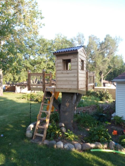 Tree Stump Playhouse, Treehouse On Stump, Zipline Platform, Stump House, Toddler Playground, Small Pergola, How To Garden, Play Area Backyard, Backyard Kids Play Area