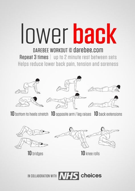 Lower Back Workout, Workout Charts, Neila Rey Workout, Lower Back Fat, Beachbody Workout, Back Workout Routine, 100 Workout, Workout Man, Workout Routine For Men