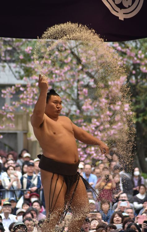 Hakuho : モンゴル人力士の典型的八��百長相撲力士：貴乃花のガチンコ相撲に対して典型的台本型力士。出て行け！日本から！相撲道を見直すべき時期に来ている。今の八角理事長も八百長の九重部屋出身。白鵬がかわいくてどうにもならん。国技？ヤクザの世界である。 Japanese Wrestling, Sumo Wrestler, Japan Culture, Kendo, Maneki Neko, Kokeshi Dolls, Japan Fashion, Judo, Photo Reference