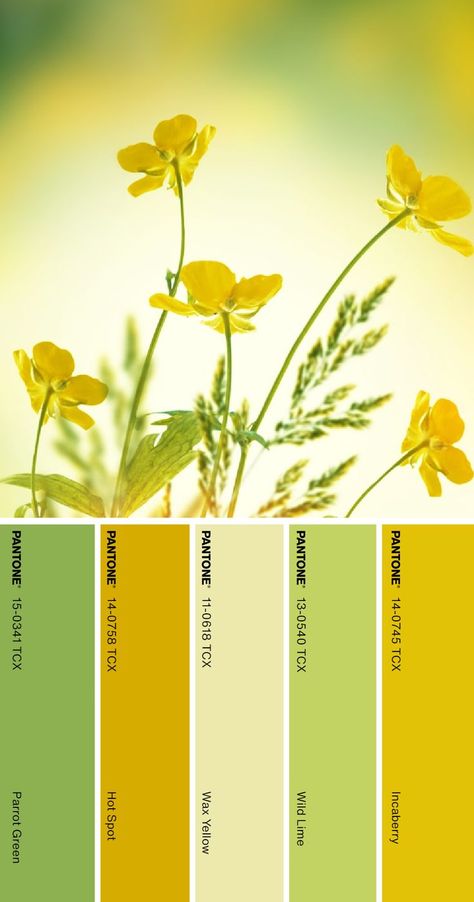 Pantone Color Palette #pantone #color #palette Color Palette Flowers, Color Palette Pantone, Pantone Color Palette, Yellow Pantone, Pantone Colour Palettes, Chartreuse Color, Color Stories, Pantone Color, Color Palettes