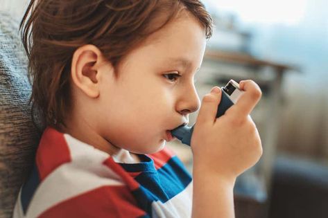 Overactive immune cells in babies may lead to childhood asthma | New Scientist Childhood Asthma, Severe Asthma, Asthma Symptoms, New Scientist, Asthma Attacks, Chronic Disease, Muscle Relaxer, How To Take, Bbc News