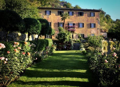 Tuscany Garden, Cortona Italy, Tuscan Farmhouse, All About Italy, Tuscan Garden, Sun House, Italian Holiday, Toscana Italia, Under The Tuscan Sun