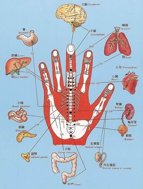 Punkty Spustowe, Reflexology Foot Chart, Foot Reflexology Massage, Acupressure Therapy, Massage Therapy Techniques, Hand Reflexology, Reflexology Chart, Reflexology Massage, Body Therapy