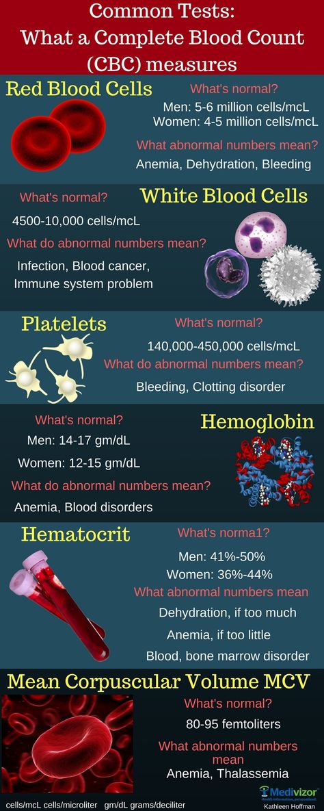 Complete Blood Count (CBC) Medical Laboratory Science Student, Nursing Labs, Medical Assistant Student, Kesehatan Gigi, Lab Values, Medical Student Study, Medical Laboratory Science, Nursing School Survival, Medical Facts