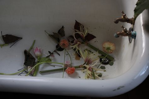 Bath, Water, Flowers, On Instagram, White, Instagram