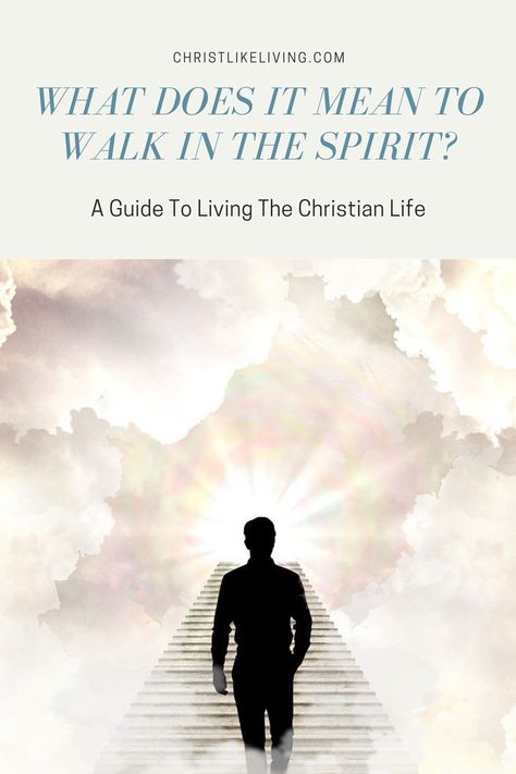 Walk in The Spirit Walking In The Spirit Quotes, 2025 Journal, Walking In The Spirit, Walking In Faith, Galatians 5 16, Walk In The Spirit, Prayer Journals, Scripture Writing, Walking Meditation