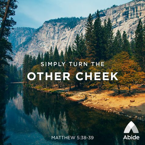 How do you respond when someone insults you? Hear Jesus’s teaching in Matthew 5:38-39. Turn The Other Cheek Quotes, Turn The Other Cheek, Guided Imagery, Bible Verse Pictures, Matthew 5, Christian Pins, Awesome God, Scripture Pictures, Daily Meditation