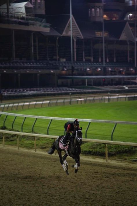 Racehorse Aesthetic, Kentucky Derby Aesthetic, Aesthetic Horses, Morning Training, Elsie Silver, Race Photography, Woodford Reserve, Equestrian Aesthetic, Thoroughbred Horse Racing