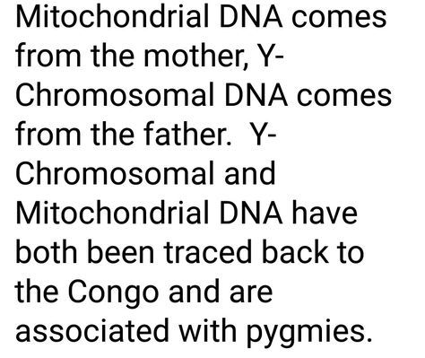 Eve Gene Eve Gene, All About Eve 1950, The Eve Gene, A Separate Peace Finny And Gene, Adam And Eve Geneology, Book Of The New Sun Gene Wolfe, Mitochondrial Dna, Spirituality, Math Equations