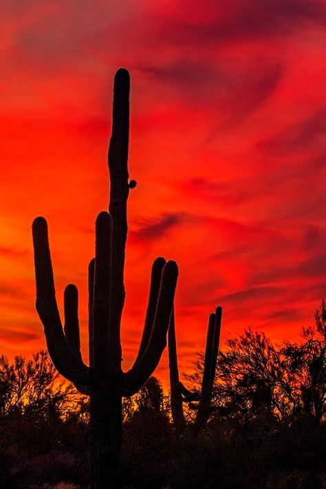 Red Landscape Aesthetic, Red Western Aesthetic, Southwest Drawings, Arizona Aesthetic Wallpaper, Red Desert Aesthetic, Arizona Desert Aesthetic, Futurama Aesthetic, Southwest Aesthetic, Southwest Photography