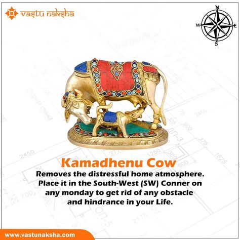 💡Know how Kamdhenu Cow can prove to be beneficial for your home💡 . . as well as for such interesting information related to Vastu. you can follow us on Facebook or Instagram and also visit our official website www.vastunaksha.com #vastu #architec #landscaping #homedesign #modernhome #modernhouse #houseplan #homeplan #housedesign #naksha #nakshaassociates #3dhomedesign #modernelevation #modernfacade #interiordesign #interior #architecture #house #home #design #contemporaryhouse #contemporaryho Kamdhenu Cow, 3d Home Design, Vastu Shastra, Interesting Information, Contemporary House, Architecture House, Interior Architecture, Home Design, Landscaping