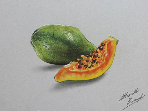 The papaya - four drawing stages by Marcello Barenghi Papaya Drawing, Marcello Barenghi, Pencil Drawing Pictures, Papaya Art, Hyper Realism, Illusion Drawings, Fruits Drawing, Pencil Drawing Tutorials, Cool Pencil Drawings