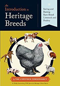 Heritage breeds matter, and they are often a better choice than conventional breeds for small farms and backyards. This eloquent, inviting, visual guide explains why conserving heritage breeds is important and shows you how you can raise these breeds yourself, helping to preserve them and benefiting from them at the same time. Written by three experts from the Livestock Conservancy, this book includes chickens, turkeys, ducks, geese, rabbits, pigs, sheep, goats, cattle, donkeys, and horses, ... Heritage Breeds Livestock, Heritage Chickens, Poultry Breeds, Modern Farmer, Poultry Feed, Mother Earth News, Chicken Breeds, Rare Breed, Hobby Farms