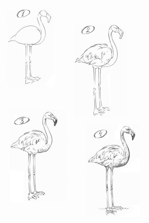 How to draw a flamingo. Step-by-step drawing tutorial. Flamingo Drawing Step By Step, Drawing A Flamingo, How To Draw A Flamingo Step By Step, How To Draw A Flamingo, Flamingo Drawing Simple, Wire Flamingo, Easy Tutorial Drawing, Chinoiserie Drawing, Flamingo Sketch