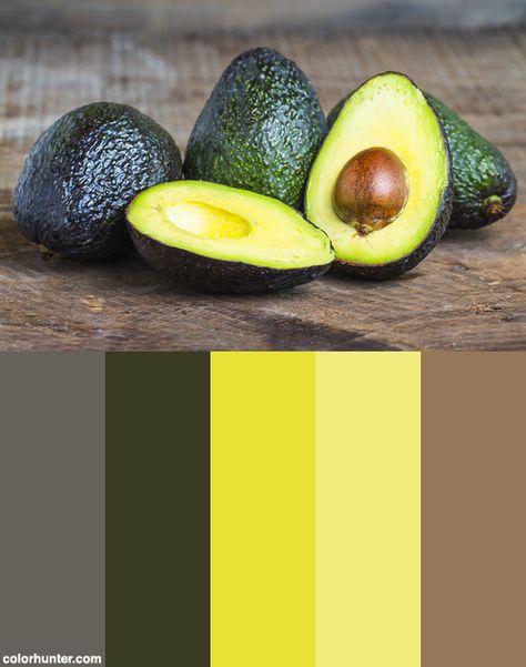 Avocado Color Scheme from colorhunter.com Avocado Green Color Scheme, Avocado Color Aesthetic, Avocado Green Palette, Avocado Colour Palette, Banana Color Palette, Healthy Food Color Palette, Avocado Color Palette, Avocado Dress, Office Color Palette