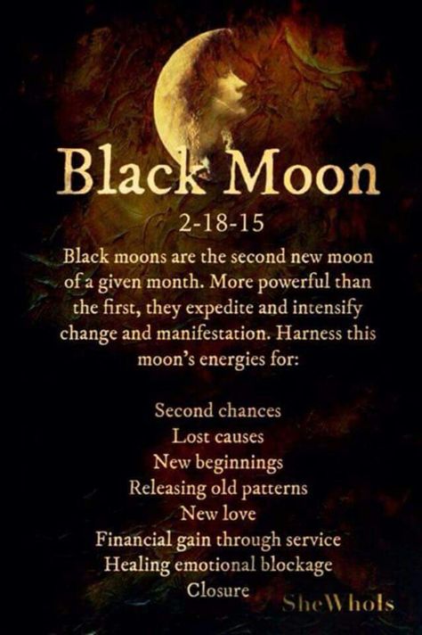 Explains today's feelings for change Mystical Lion, Wiccan Prayers, Moon Activities, Moon Spells, Lunar Moon, Moon Magick, New Moon Rituals, Moon Rituals, Magic Day