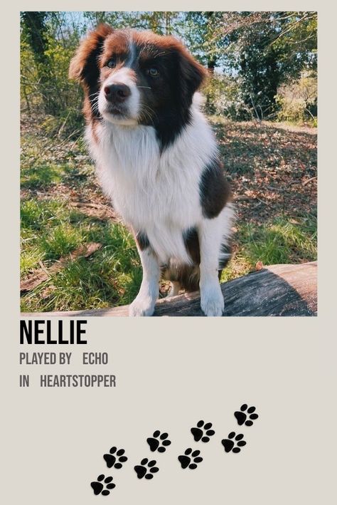 Nellie And Henry Heartstopper, Nellie Nelson Heartstopper, Nellie Heartstopper Wallpaper, Nellie Heartstopper, Nellie Nelson, Heart Stopper, Polaroid Poster, Love Your Hair, Cute Funny Dogs