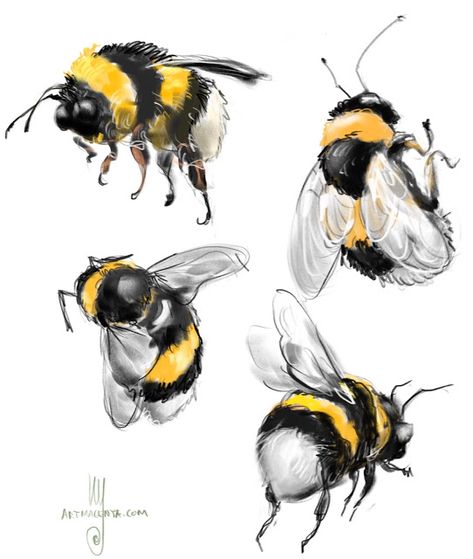 Bee Illustration Cute, Bumblebee Sketch, Watercolour Bees, Everyday Sketches, Bumble Bee Drawing, Painting Bees, Bumble Bee Illustration, Insect Painting, Bee Illustrations