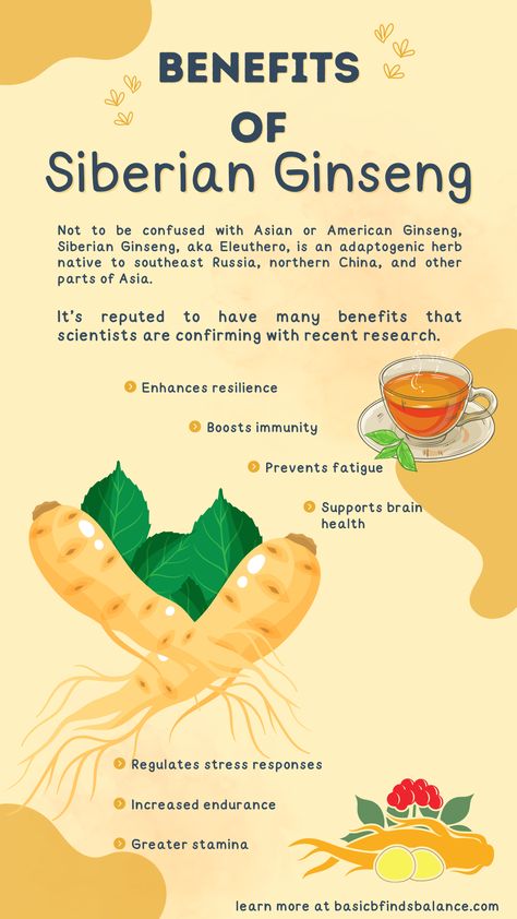 Apigenin Benefits, Ginseng Tea Benefits, Eleuthero Benefits, Siberian Ginseng Benefits, Asian Ginseng Benefits, Ginseng Benefits, Siberian Ginseng, Herbal Benefits, Ginseng Tea