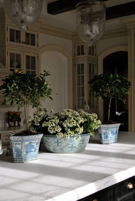 A wonderful way to use Chinoiserie indoors and out is with blue and white Chinese porcelain planters. A beautifully curated collection in... Porcelain Planter, Blue White Decor, The Enchanted Home, التصميم الخارجي للمنزل, Enchanted Home, White Planters, Chinoiserie Chic, Blue And White China, Blue China