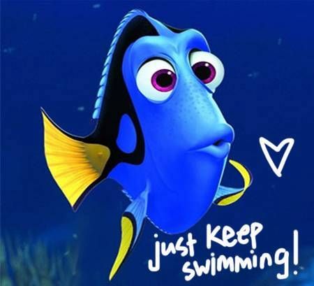 Just Keep Swimming Quote, Happy Birthday Meme Gif, Dory Nemo, Meme Gif, Funny Morning Pictures, Just Keep Swimming, Swimming Quotes, Harry Potter Wizard, Pixar Characters