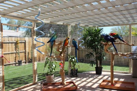 outdoor aviary                                                                                                                                                                                 More Outdoor Aviary, Aviary Ideas, Macaw Cage, Diy Bird Cage, Cage Bird, Pet Bird Cage, Bird House Kits, Bird Aviary, Bird Stand