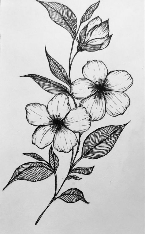 Flower garden Floral Art Sketch, Nature Drawings Simple Sketch Flowers, Drawing Ideas Nature Flower, Floral Pencil Drawings, Sketchbook Flowers Drawings, What To Draw In A Sketchbook Easy, Flower Art Drawing Sketches Simple, Flower Sketches Easy, Nature Drawing Simple