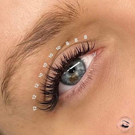 ‼️Lash Technicians‼️ Here’s something for you to try⬇️ Wispy Cat Eye Lash Map👀⭐️ 8-12mm, Classic C-Curl❤️‍🔥 This is a gradual sharp cat eye because it’s going from 8mm to 12mm🔪 We love this set and it’s an easy lash map to follow🥰👀 📍Classic Lash Extensions in Brooklyn, NY 📲718-801-2523 📍Classic Lash Extensions in Long Island, NY 📲516-907-2200 💻www.luxlashlounge.com #lashmap #cateyelashextensions #cateyelashmap #lashmappingskills #lashmappingtips #lashextensions #nyclashtech #brooklynl... Kiss Lash Extensions Map, Lash Maps Wispy, 8-12 Mm Lashes, 10 Mm Lash Extensions, Cat Eye Eyelash Extensions Map, Cat Eye Cluster Lashes, Lash Map Natural Cat Eye, C Curl Cat Eye Lashes, Cat Eye Classic Lash Extensions Map