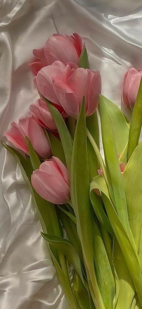 Boquette Flowers, Floral Wallpaper Phone, Nothing But Flowers, Flower Therapy, Beautiful Bouquet Of Flowers, Luxury Flowers, Flower Phone Wallpaper, Pink Tulips, Tulips Flowers