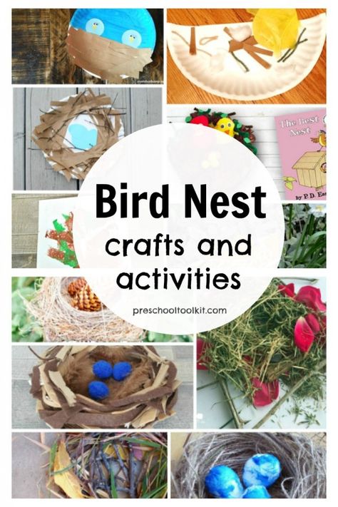 Bird Nest Crafts, Birds Nest Craft, Kids Crafts Birds, Preschool Birds, Crafts For Kids Preschool, Birds Theme, Bird Nest Craft, Flying Creatures, Nest Art