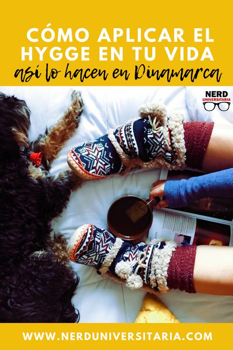 ¿De qué se trata el Hygge?, el estilo de vida de las personas más felices del mundo – Nerd Universitaria Seasonal Affective, Traditions To Start, Easiest Dogs To Train, Easy Crochet Stitches, Winter Blues, Dog Training Tips, Herbal Tea, Training Your Dog, Dog Care