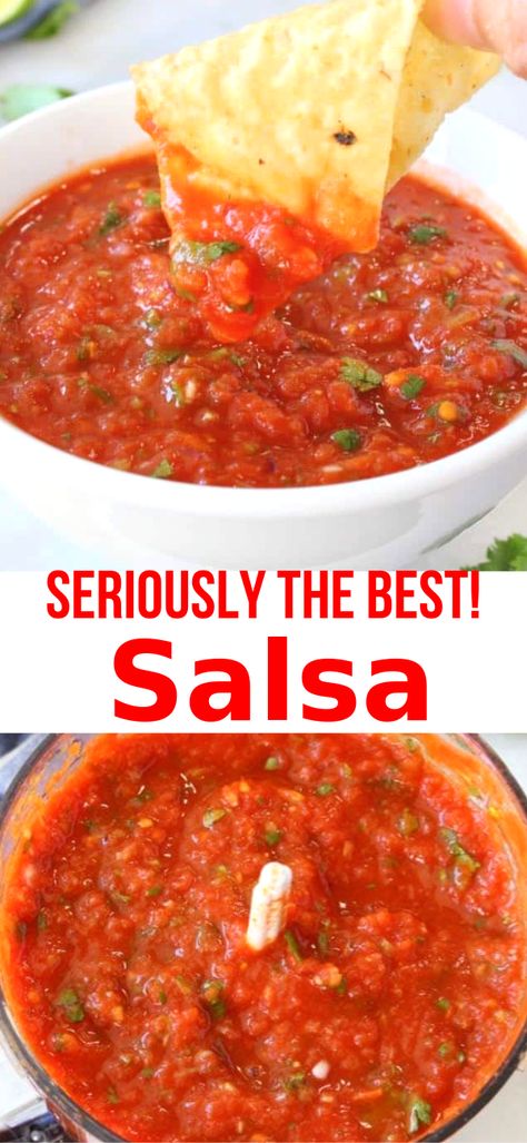 Best Salsa Recipe Ever, The Best Salsa Recipe, Red Salsa Recipe, Salsa Homemade, Salsa Canning Recipes, Best Salsa Recipe, Best Salsa, Mexican Salsa Recipes, Fresh Salsa Recipe