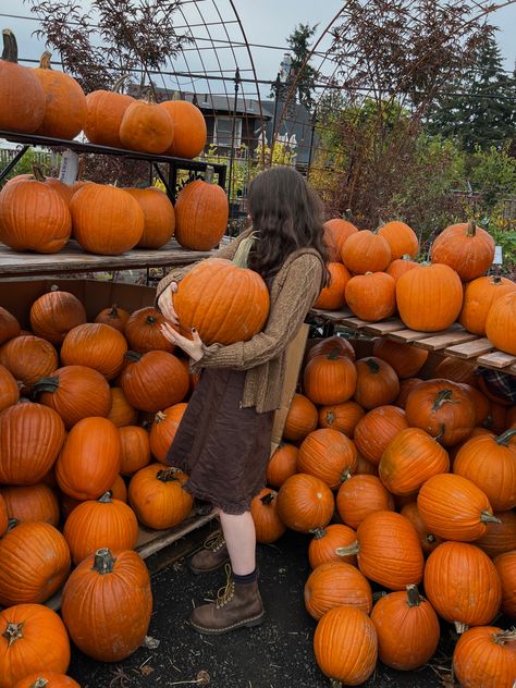 Things To Bake In Autumn, Fall Festival Aesthetic, Simple Fall Aesthetic, Fall Reference, Romanticizing Autumn, Vintage Fall Aesthetic, Aesthetic Pumpkin Patch, Pumpkin Pics, Pumpkin Patch Aesthetic