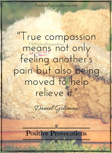 27 Soulful Quotes to Ignite Compassion from Within | *Positive Provocations* Chaplaincy Quotes, Kindness And Compassion Quotes, Bushido Quotes, Compassionate Quotes, Quotes About Compassion, Quotes On Compassion, Happy Soul Quotes, Compassion Meaning, Soulful Quotes