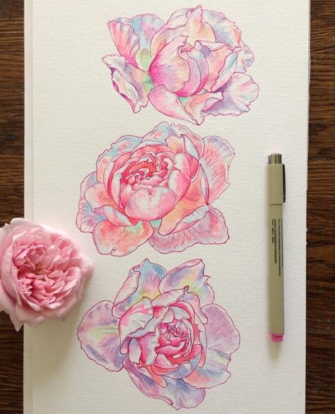 5 Aesthetic, Snake Tattoos, Tattoo Watercolor, Flower Drawings, Watercolor Wreath, Inspiration Tattoos, Painting Inspo, Arte Sketchbook, A Pen