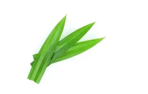 Koleksi Gambar Daun Pandan Kartun Nomer 39 - KibrisPdr.org Pandan Leaves, Daun Pandan, Premium Photo, High Quality Images, Most Popular, Stock Photos, Plants, High Quality, 10 Things