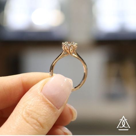 Hidden Diamond Engagement Ring, Tulip Cathedral Engagement Ring, Tulip Prong Engagement Ring, Tulip Setting Engagement Ring, Cathedral Wedding Ring, Round Stone Engagement Rings, Cathedral Diamond Ring, Cathedral Setting Engagement Ring, Case Board