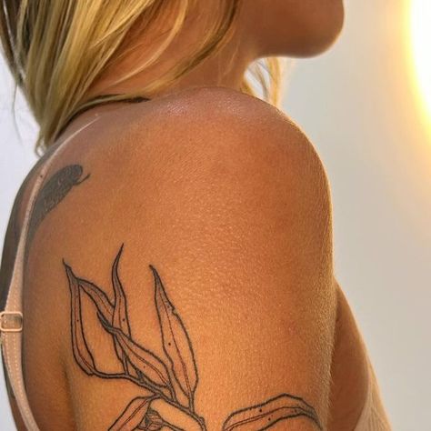 Gum Leaf Tattoo, 13 Hours, Tattoo Inspo, Shoulder Tattoo, Leaf Tattoos, Traditional Tattoo, All Time, Gum, Jade