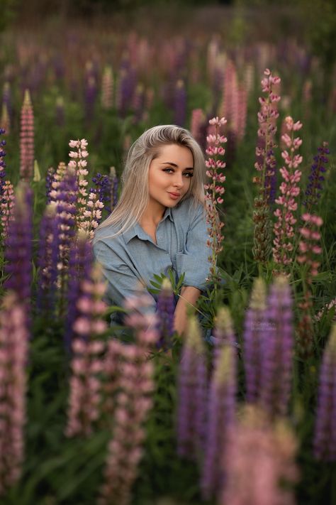 Lupin Photoshoot, Lupins Photoshoot, Botanical Photoshoot, Lupine Photoshoot, Lupine Flowers Photoshoot, Lavender Garden Photoshoot, Lavender Farm Photoshoot, Photos In Lavender Field, Lupine Flowers