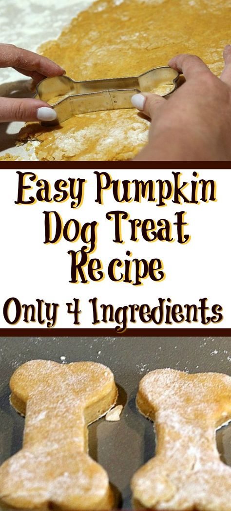 Easy Pumpkin Dog Treat Recipe - Cook Eat Go Frozen Pumpkin Dog Treats, Pumpkin Dog Treat, Dog Cookie Recipes, Homemade Dog Cookies, Pet Treats Recipes, Dog Treats Homemade Easy, Easy Dog Treat Recipes, Dog Treat Recipe, Frozen Pumpkin