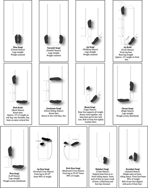 Taekwondo Stances | Taekwondo Wiki | FANDOM powered by Wikia Taekwondo Forms, Korean Taekwondo, Taekwondo Techniques, Taekwondo Quotes, Tkd Taekwondo, World Taekwondo, Taekwondo Girl, Martial Arts Sparring, Taekwondo Training